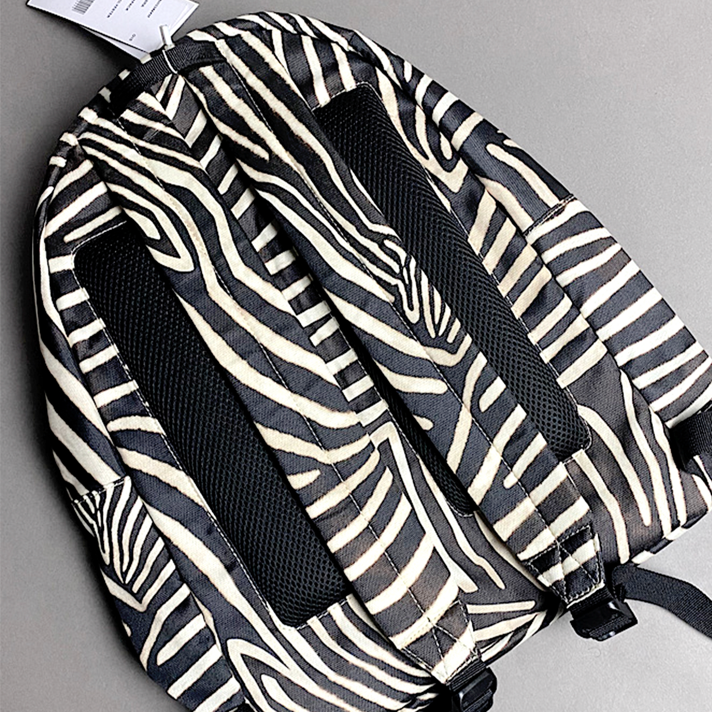 Mochila Lacoste x National Geographic Zebra